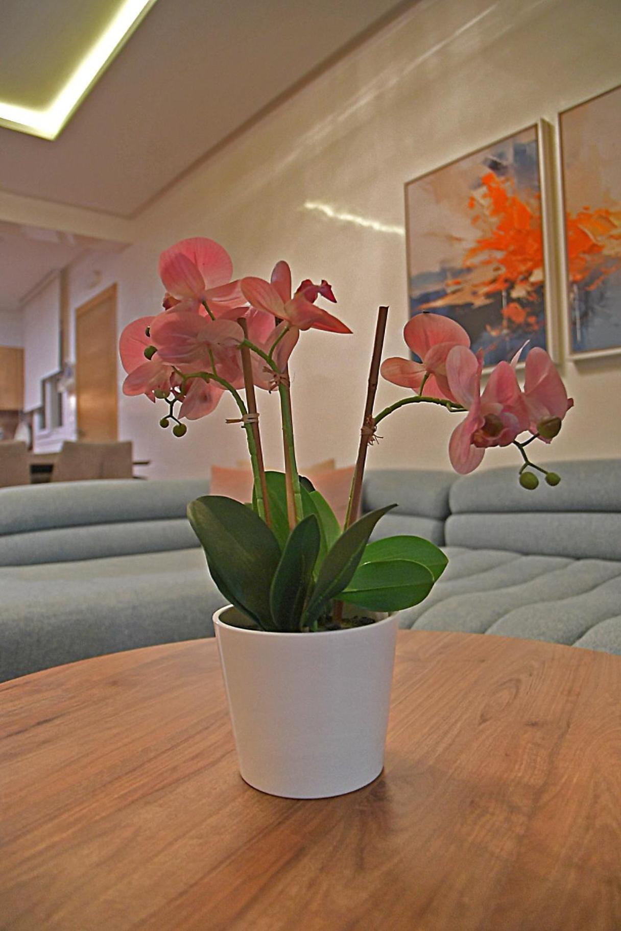 Inhome Apartment Cabo Negro Ngoại thất bức ảnh